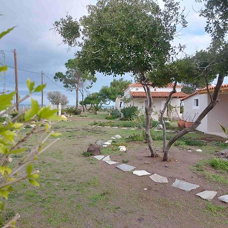 Vintage Beach House Agia Anna  Exterior foto